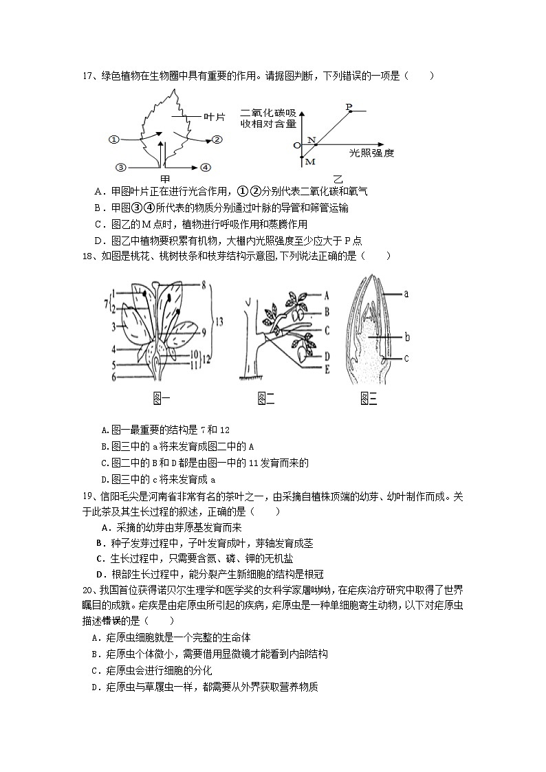 生物试卷第3页