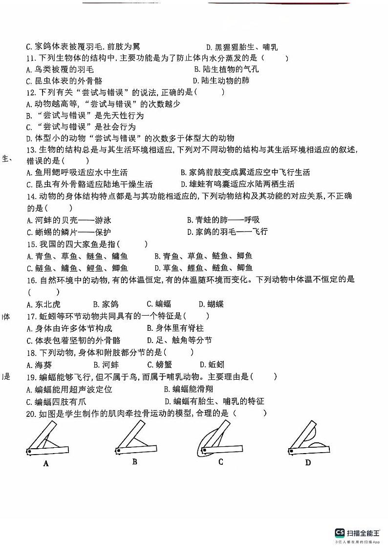 生八第2页
