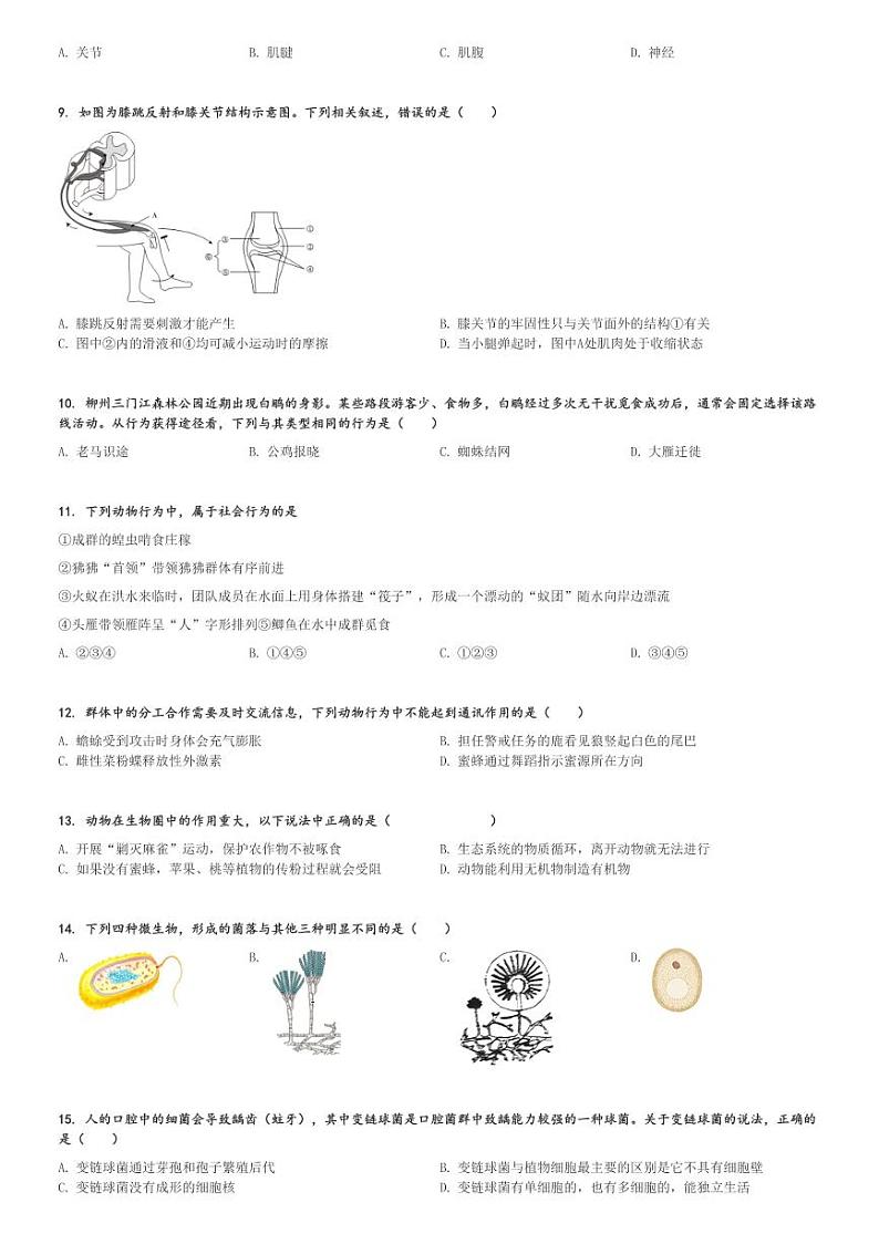 2023～2024学年广东潮州潮安区初二(上)期末生物试卷[原题+解析]第2页