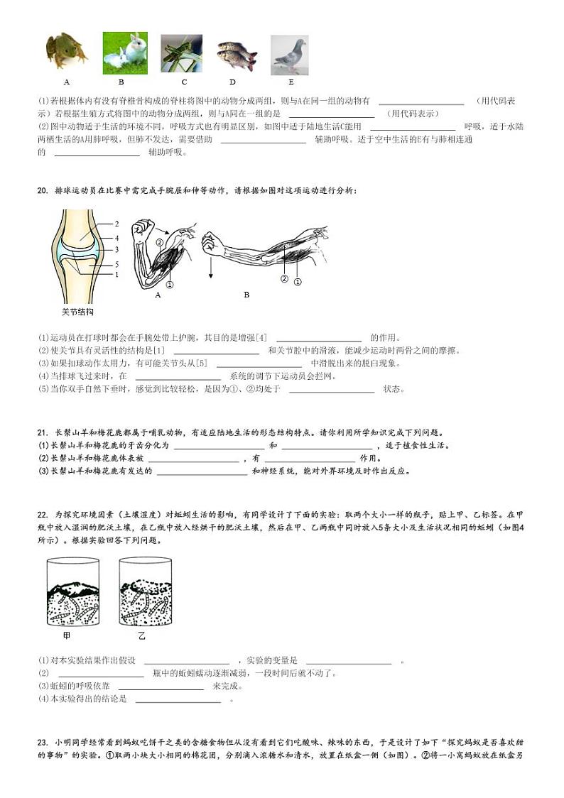 2024～2025学年甘肃定西安定区初二(上)期中生物试卷(城区)[原题+解析]第3页