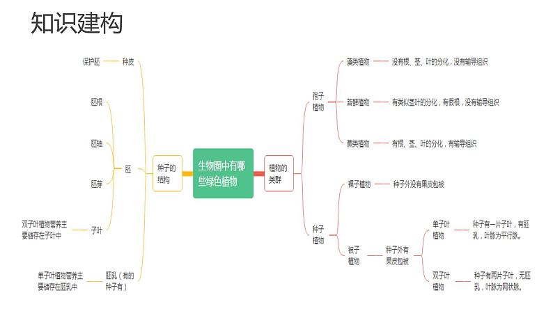 2025年中考生物一轮复习讲练测课件专题04 生物圈中有哪些绿色植物（含答案）第6页