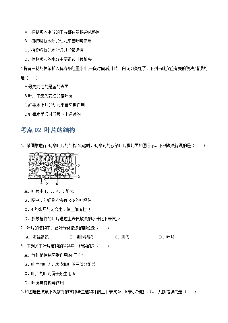 （通用版）中考生物一轮复习考点练习专题06 绿色植物与生物圈的水循环（练习）（原卷版）第2页