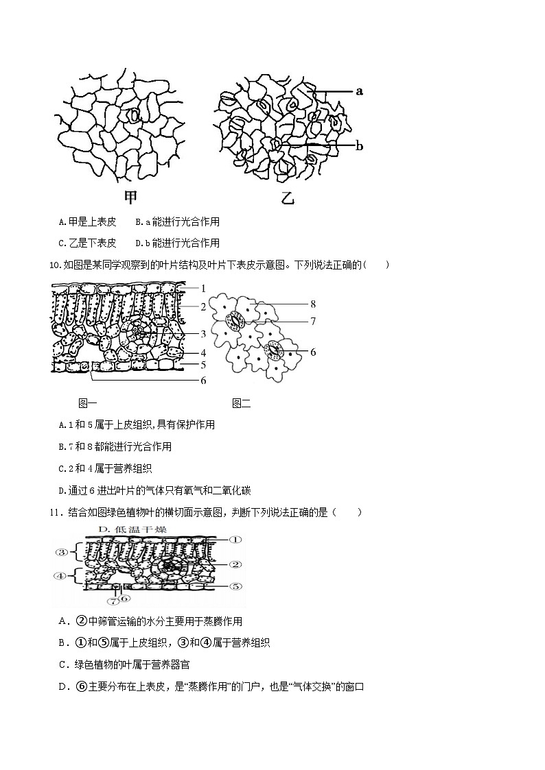 （通用版）中考生物一轮复习考点练习专题06 绿色植物与生物圈的水循环（练习）（原卷版）第3页