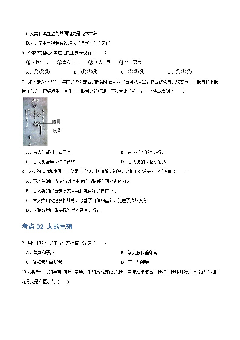 （通用版）中考生物一轮复习考点练习专题09 人的由来（练习）（原卷版）第2页