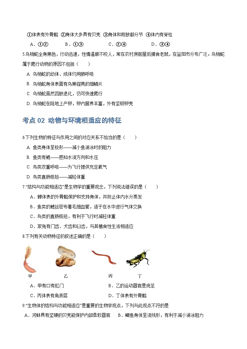 （通用版）中考生物一轮复习考点练习专题16 动物的主要类群（练习）（原卷版）第2页