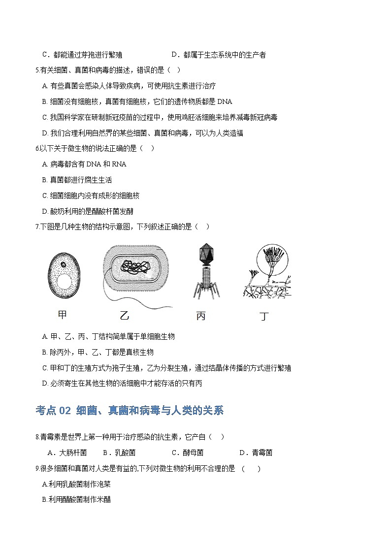 （通用版）中考生物一轮复习考点练习专题18 细菌、真菌和病毒（练习）（原卷版）第2页