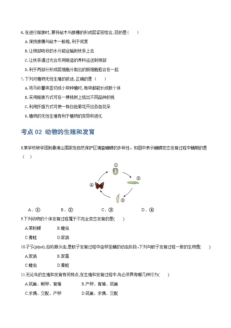 （通用版）中考生物一轮复习考点练习专题20 生物的生殖和发育（练习）（原卷版）第2页