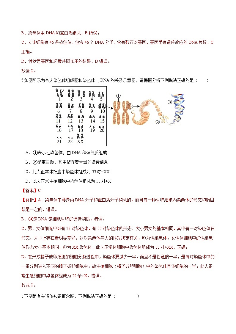 （通用版）中考生物一轮复习考点练习专题21 生物的遗传和变异（练习）（解析版）第3页