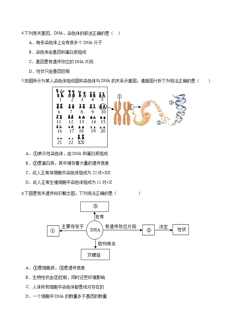 （通用版）中考生物一轮复习考点练习专题21 生物的遗传和变异（练习）（原卷版）第2页