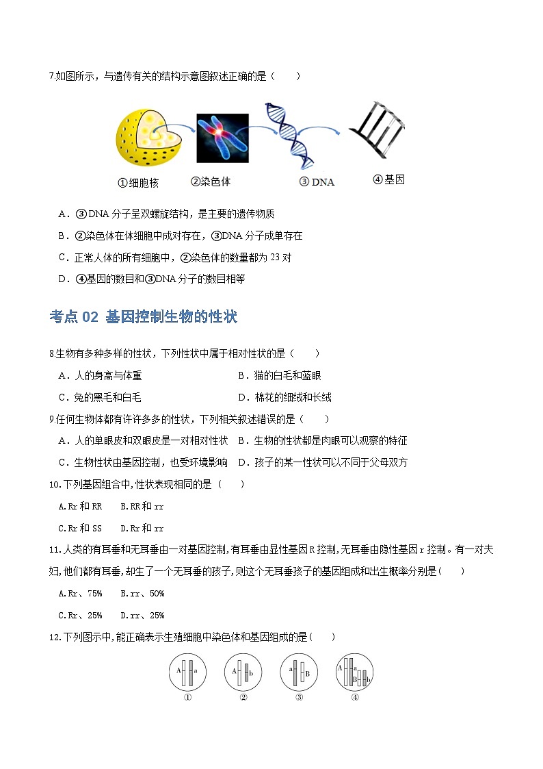 （通用版）中考生物一轮复习考点练习专题21 生物的遗传和变异（练习）（原卷版）第3页