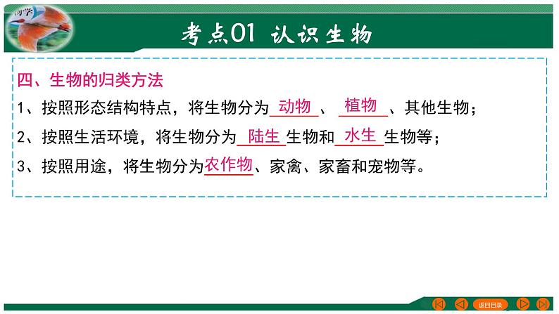 2025年中考生物一轮复习考点练习课件 专题01 生物和生物圈第8页