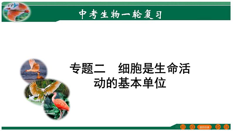 2025年中考生物一轮复习考点练习课件 专题02 细胞是生命活动的基本单位第1页