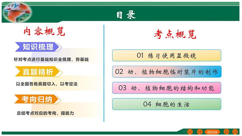 2025年中考生物一轮复习考点练习课件 专题02 细胞是生命活动的基本单位第2页