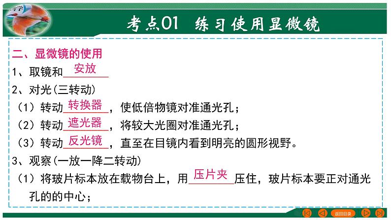 2025年中考生物一轮复习考点练习课件 专题02 细胞是生命活动的基本单位第5页