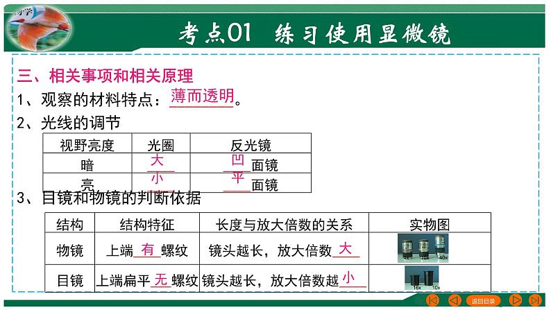 2025年中考生物一轮复习考点练习课件 专题02 细胞是生命活动的基本单位第7页