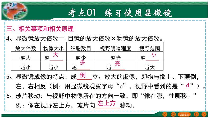 2025年中考生物一轮复习考点练习课件 专题02 细胞是生命活动的基本单位第8页