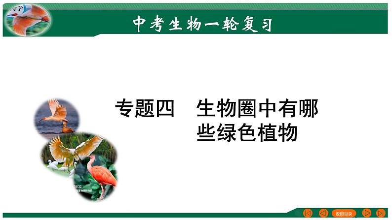 2025年中考生物一轮复习考点练习课件 专题04 生物圈中有哪些绿色植物第1页