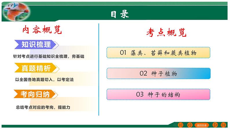 2025年中考生物一轮复习考点练习课件 专题04 生物圈中有哪些绿色植物第2页