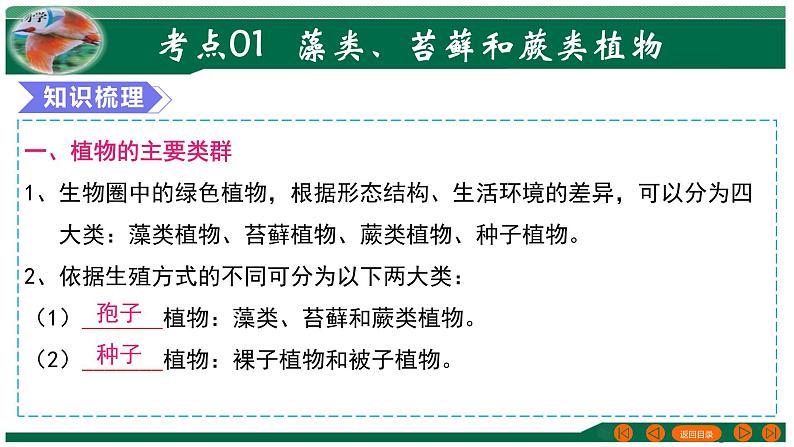 2025年中考生物一轮复习考点练习课件 专题04 生物圈中有哪些绿色植物第4页