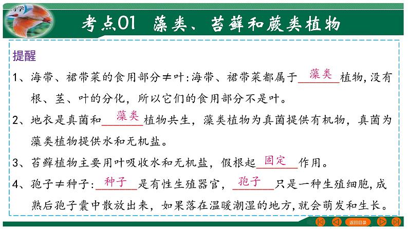 2025年中考生物一轮复习考点练习课件 专题04 生物圈中有哪些绿色植物第8页