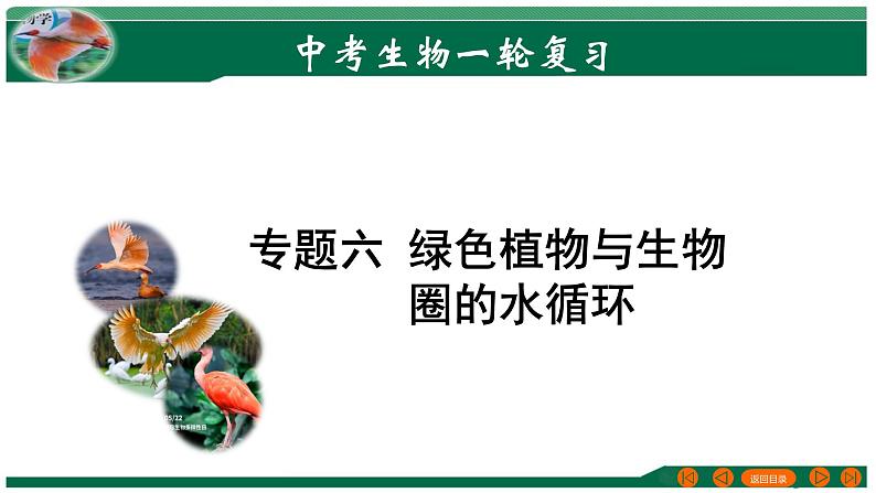 2025年中考生物一轮复习考点练习课件 专题06 绿色植物与生物圈的水循环第1页