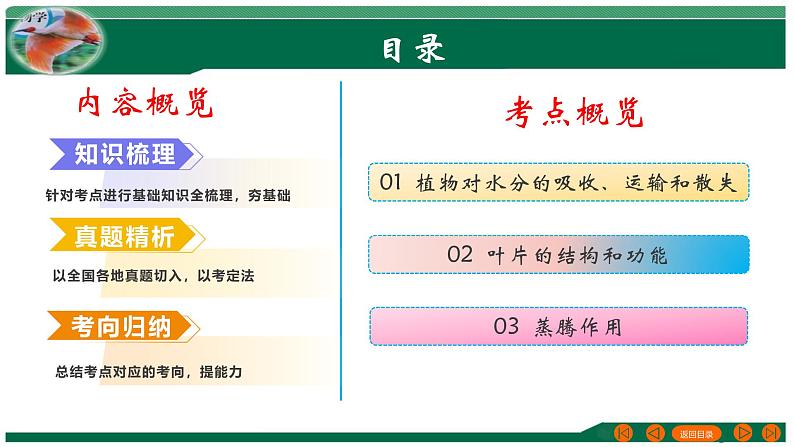 2025年中考生物一轮复习考点练习课件 专题06 绿色植物与生物圈的水循环第2页