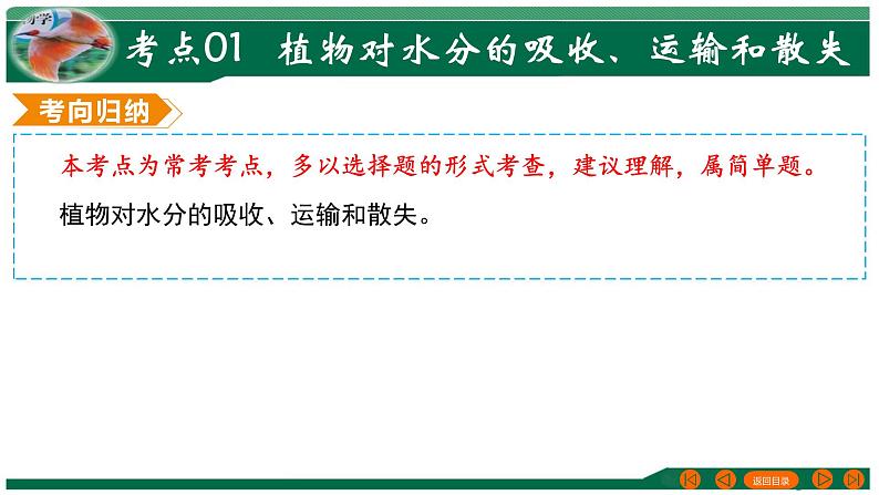 2025年中考生物一轮复习考点练习课件 专题06 绿色植物与生物圈的水循环第8页