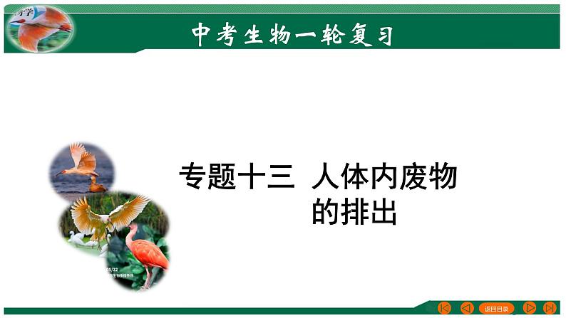 2025年中考生物一轮复习考点练习课件 专题13 人体内废物的排出第1页