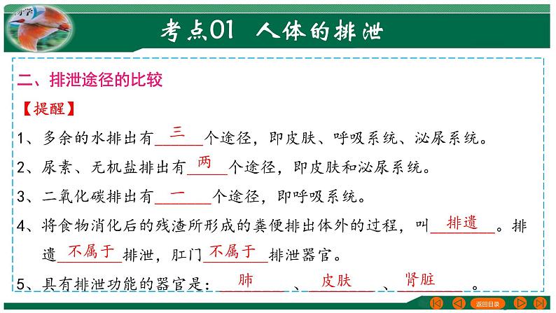 2025年中考生物一轮复习考点练习课件 专题13 人体内废物的排出第5页