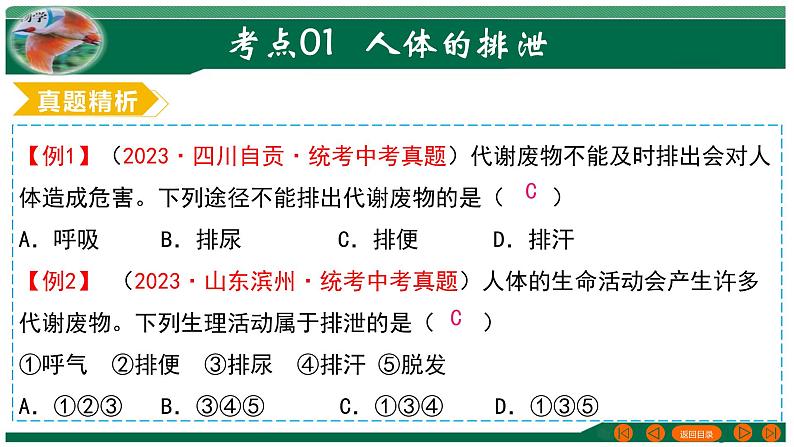 2025年中考生物一轮复习考点练习课件 专题13 人体内废物的排出第6页