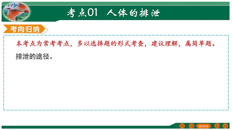 2025年中考生物一轮复习考点练习课件 专题13 人体内废物的排出第7页