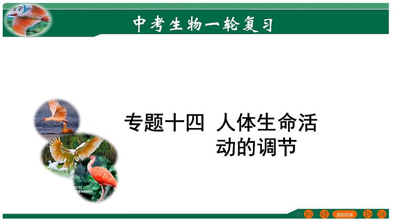 2025年中考生物一轮复习考点练习课件 专题14 人体生命活动的调节第1页