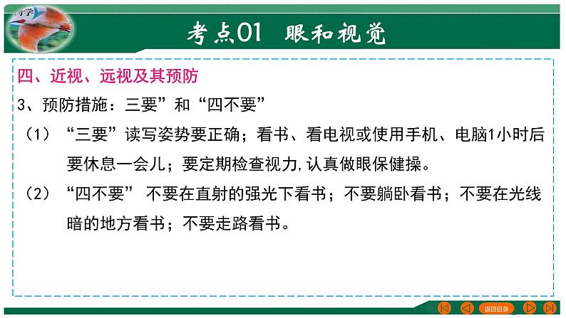 2025年中考生物一轮复习考点练习课件 专题14 人体生命活动的调节第8页