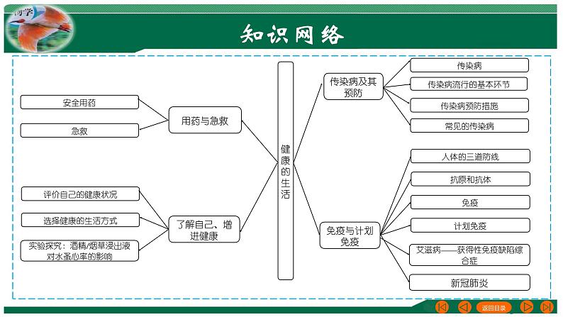 2025年中考生物一轮复习考点练习课件 专题15 健康地生活第3页