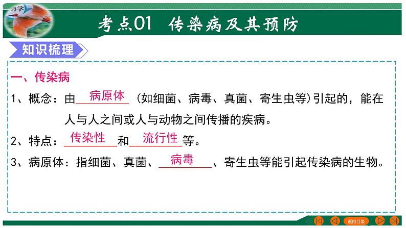 2025年中考生物一轮复习考点练习课件 专题15 健康地生活第4页