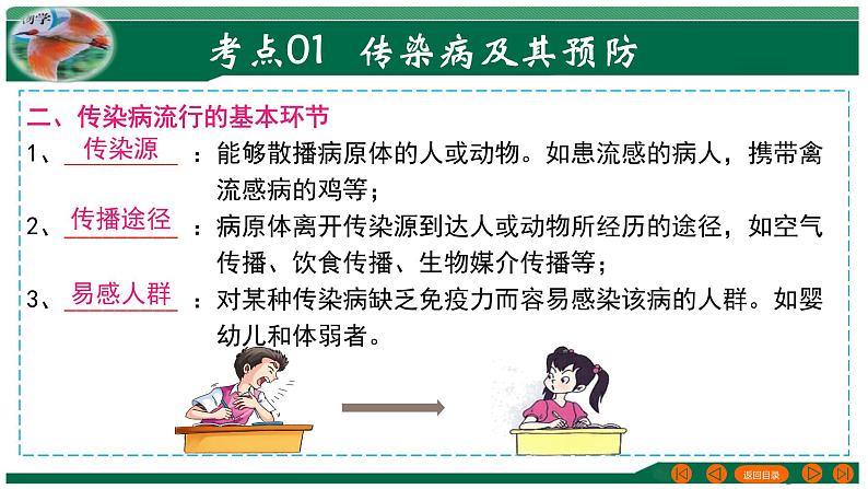 2025年中考生物一轮复习考点练习课件 专题15 健康地生活第5页