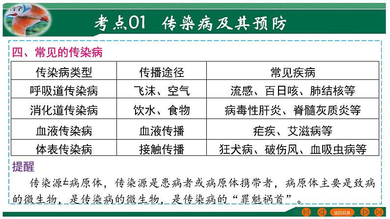 2025年中考生物一轮复习考点练习课件 专题15 健康地生活第7页