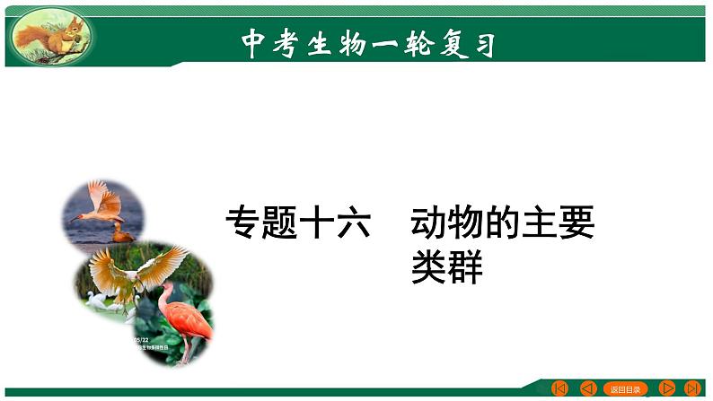 2025年中考生物一轮复习考点练习课件 专题16 动物的主要类群第1页