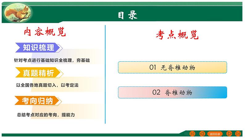 2025年中考生物一轮复习考点练习课件 专题16 动物的主要类群第2页