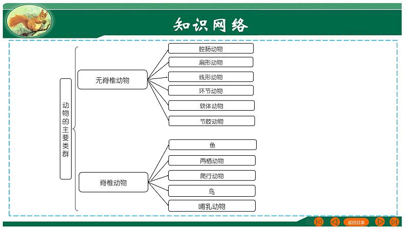 2025年中考生物一轮复习考点练习课件 专题16 动物的主要类群第3页