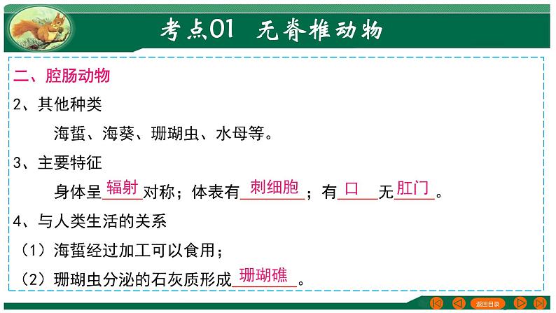 2025年中考生物一轮复习考点练习课件 专题16 动物的主要类群第6页