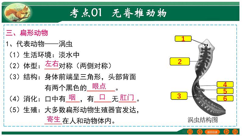 2025年中考生物一轮复习考点练习课件 专题16 动物的主要类群第7页