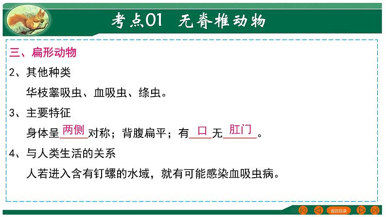 2025年中考生物一轮复习考点练习课件 专题16 动物的主要类群第8页