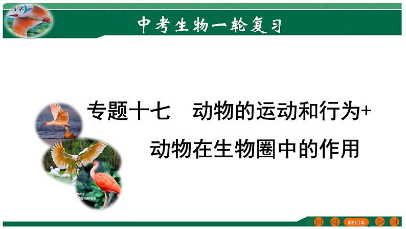 2025年中考生物一轮复习考点练习课件 专题17 动物的运动和行为+动物在生物圈中的作用第1页