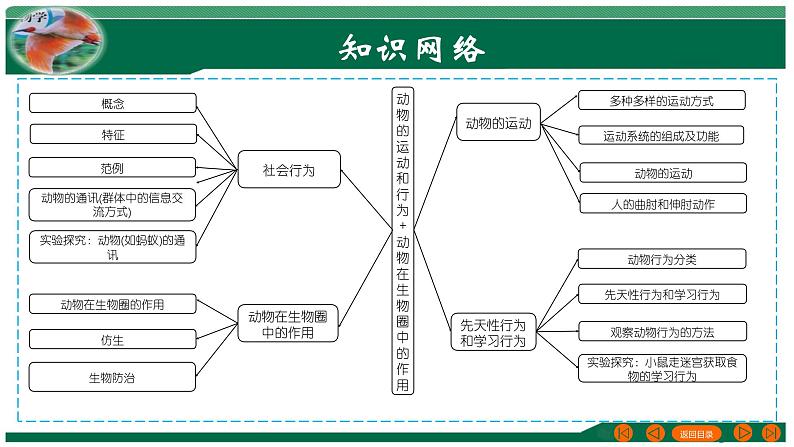 2025年中考生物一轮复习考点练习课件 专题17 动物的运动和行为+动物在生物圈中的作用第3页