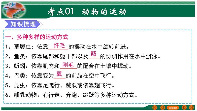 2025年中考生物一轮复习考点练习课件 专题17 动物的运动和行为+动物在生物圈中的作用第4页