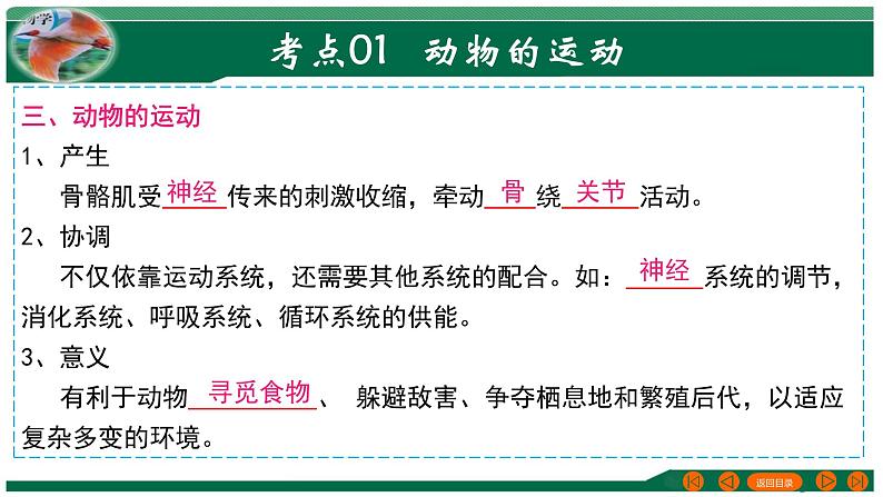 2025年中考生物一轮复习考点练习课件 专题17 动物的运动和行为+动物在生物圈中的作用第8页