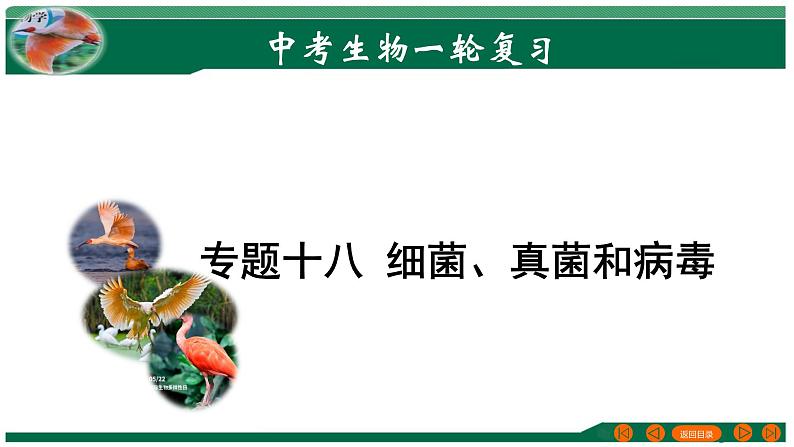 2025年中考生物一轮复习考点练习课件 专题18 细菌、真菌和病毒01