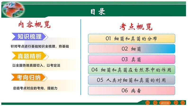 2025年中考生物一轮复习考点练习课件 专题18 细菌、真菌和病毒02