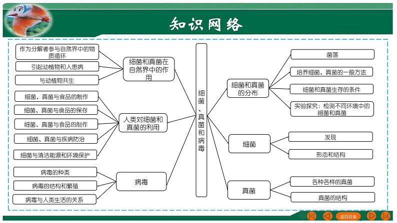 2025年中考生物一轮复习考点练习课件 专题18 细菌、真菌和病毒03